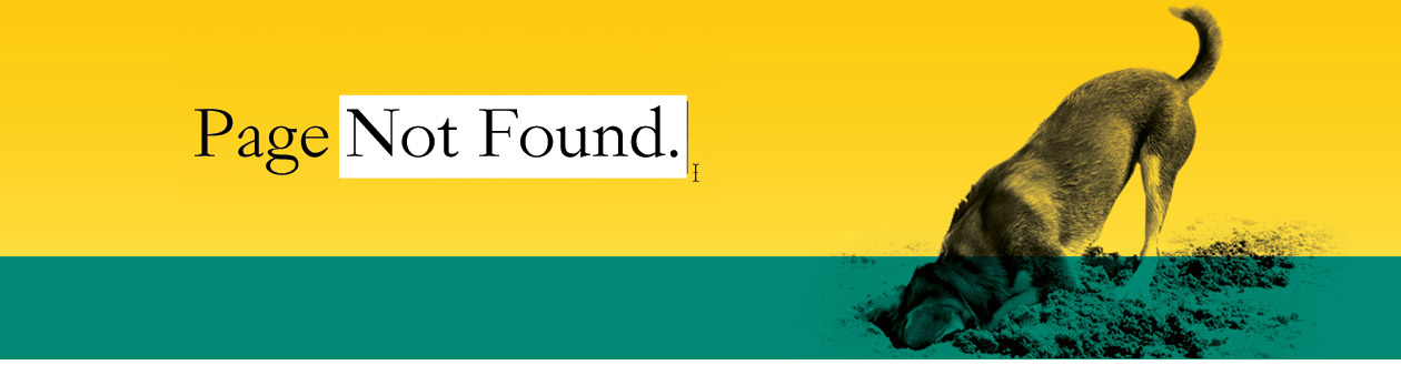 404 page not found 404 page not found