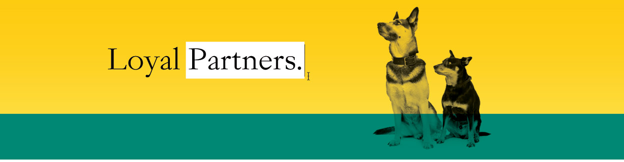 Partnerships Partnerships